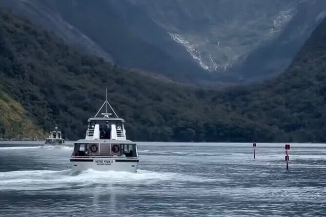 Milford Sound Private Day Trip from Queenstown via Te Anau - Who Should Consider This Tour?