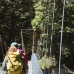 Milford Track Day Walk with Lake Te Anau Water Taxi - Detailed Review of the Milford Track Day Walk with Lake Te Anau Water Taxi