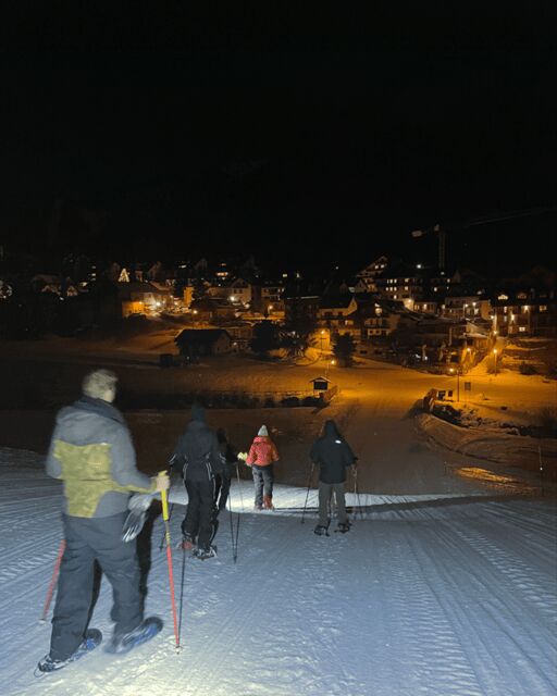 Milky Way: night snowshoeing with typical mountain hut dinner - A Possible Drawback