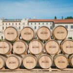 MIMI Castle with wine Tasting - Who Will Love This Tour?