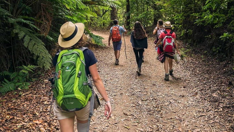 Mimosa Valley Trail: Explore Maroços - Who Should Take This Tour?