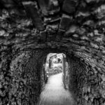 Mindful Photo Walk at Princess Pavilion & Gyllyngdune Gardens - What to Expect on Your Mindful Photo Walk