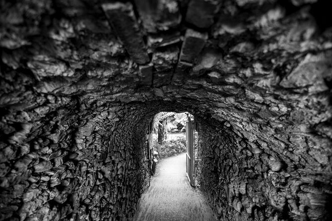 Mindful Photo Walk at Princess Pavilion & Gyllyngdune Gardens - What to Expect on Your Mindful Photo Walk
