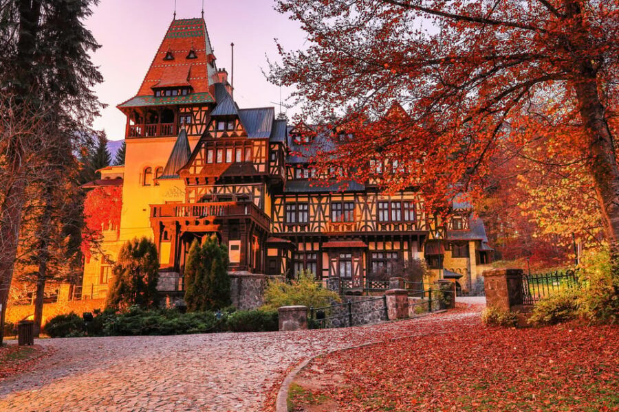 Minivan 8 Places : Dracula Castle, Peles, & Brasov Day Tour - Practical Details and Tips