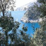 Minivan Tour | Amalfi Ravello and Pompeii with driver - Final Thoughts