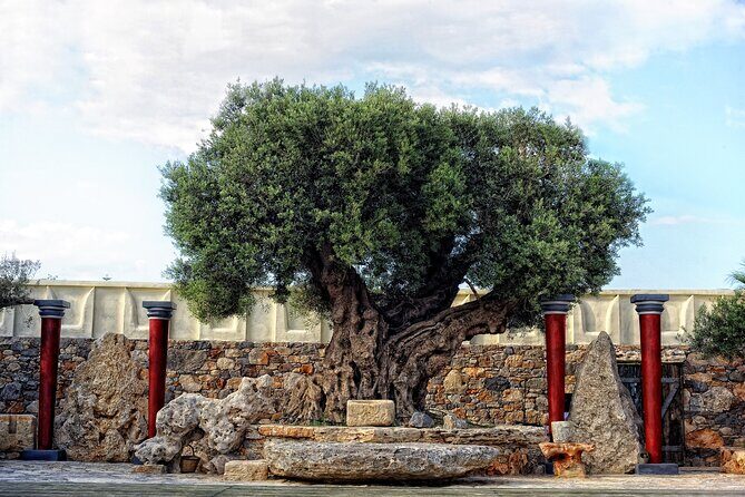 Minoan Day Experience - The Pre-Show Treats: Tasting the Past