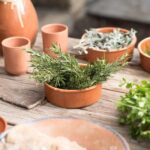 Minoan Menu in a Minoan way - FAQ
