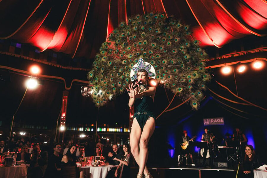Mirage Vienna: Burlesque Spectacular - Dinner Show - Detailed breakdown of the experience