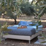 Mires: Cooking Class & Stargazing with Luxury Outdoor Sleep - An In-Depth Look at Mires: Cooking & Stargazing Experience