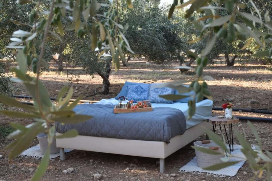 Mires: Cooking Class & Stargazing with Luxury Outdoor Sleep - An In-Depth Look at Mires: Cooking & Stargazing Experience