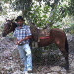 Mismaloya Jalisco: Rancho Manolo Horseback Tour - Who Would Love This Tour?