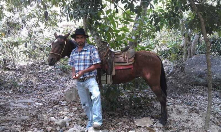 Mismaloya Jalisco: Rancho Manolo Horseback Tour - Who Would Love This Tour?