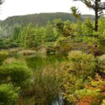 Mistérios Negros Hiking Trail - Terceira Azores - Who Will Love This Tour?