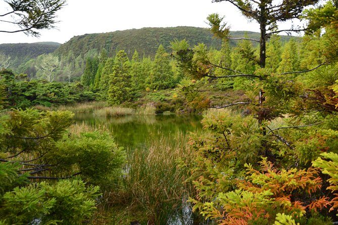 Mistérios Negros Hiking Trail - Terceira Azores - Who Will Love This Tour?