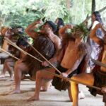 Mitai Maori Village: Cultural Experience and Dinner Buffet - A Deep Dive Into the Mitai Maori Village Experience