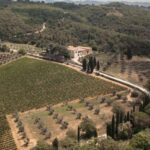 Mocenni Premium - Who Will Appreciate This Experience?