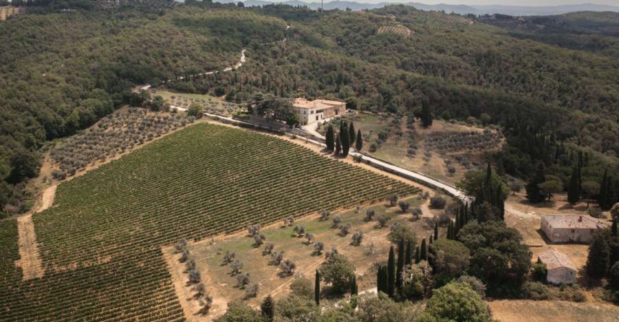 Mocenni Premium - Who Will Appreciate This Experience?