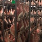 Modena Food:Prosciutto,Parmigiano,Balsamic,Wine,Lunch,Transport - Who Should Book This Experience?