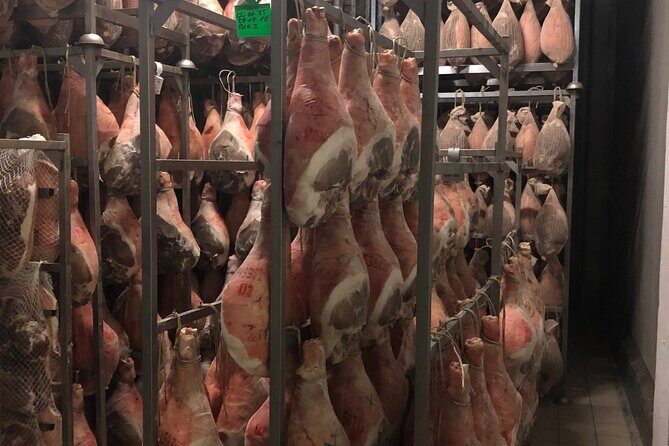 Modena Food:Prosciutto,Parmigiano,Balsamic,Wine,Lunch,Transport - Who Should Book This Experience?