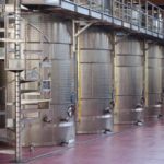 Modena: Lambrusco Wine Tasting and Cellar Tour - Exploring the Modena Lambrusco Experience