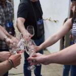Modra: Private wine tasting guided by winery owner - An Authentic Look at Slovak Winemaking