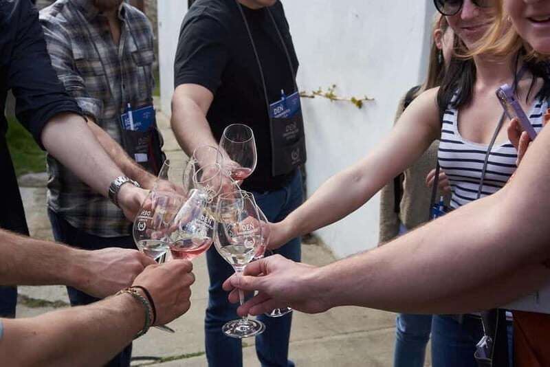 Modra: Private wine tasting guided by winery owner - An Authentic Look at Slovak Winemaking