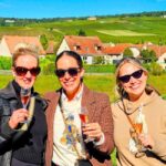 Moet et Chandon Tasting and Fun Private Tour in Champagne - A Close Look at the Tour Experience