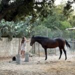 Moita: Amazing Full-Day Tour with Horseback Riding on the Beach - Exploring the Itinerary: What’s Included and Why It Matters