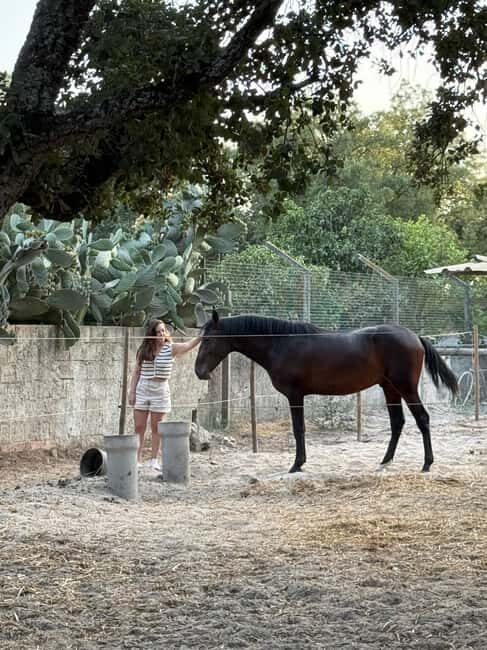 Moita: Amazing Full-Day Tour with Horseback Riding on the Beach - Exploring the Itinerary: What’s Included and Why It Matters