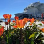 Molde: 2-Hour Guided City Walking Tour - The Itinerary in Detail