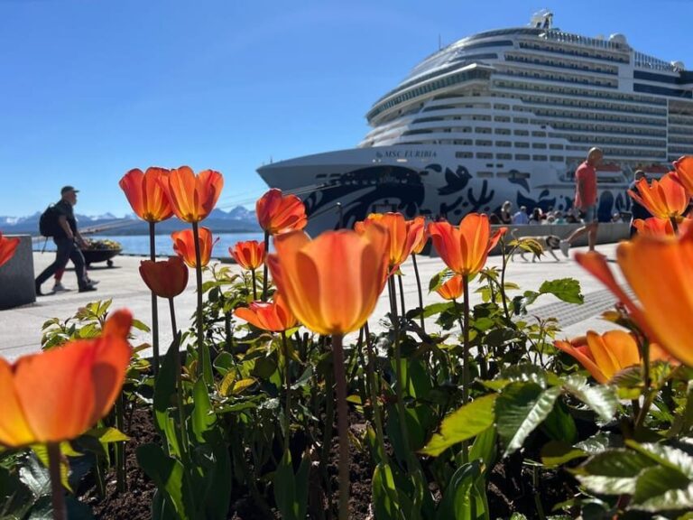 Molde: 2-Hour Guided City Walking Tour - The Itinerary in Detail