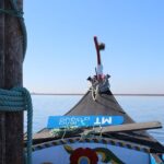 Moliceiro boat trip, with experience in bivalves harvesting - Why This Tour Offers Great Value