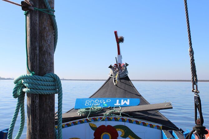 Moliceiro boat trip, with experience in bivalves harvesting - Why This Tour Offers Great Value