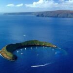 Molokini and Turtle Town Snorkeling Adventure Aboard the Malolo - Comfort and Amenities