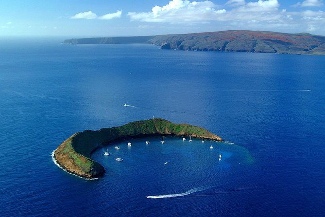 Molokini and Turtle Town Snorkeling Adventure Aboard the Malolo - Comfort and Amenities