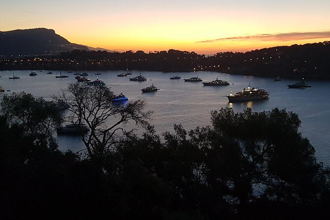 MONACO Shore Excursion : Private Tour French Riviera Highlights - Frequently Asked Questions