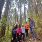 Monarch Butterfly Mexico Reserve Sanctuary & Valle de Bravo - A Full-Day Journey into Mexico’s Natural and Cultural Treasures