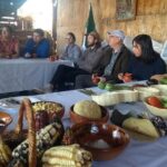 Monarch Butterfly Tour from Mexico City - The Real Value of This Tour