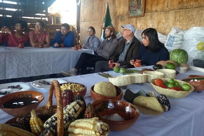 Monarch Butterfly Tour from Mexico City - The Real Value of This Tour