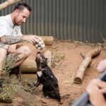 Monarto Safari Park: A Devilish Native Experience - Authentic Encounters That Matter
