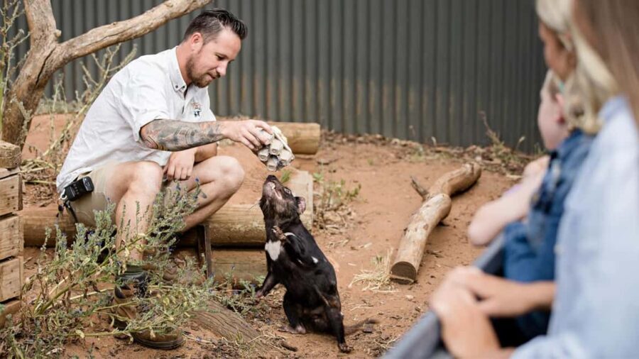 Monarto Safari Park: A Devilish Native Experience - Authentic Encounters That Matter