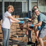 Monarto Safari Park: Lions At Bedtime - An In-Depth Look at Monarto Safari Parks Lions At Bedtime