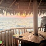 Monday & Thursday Nights Harbor Lights Tiki Tour - A Practical Look at the Harbor Lights Tiki Tour