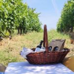 Monferrato: Garetto Wine Estate Tour and Picnic Private - A Deep Dive into the Garetto Wine Estate Tour and Picnic