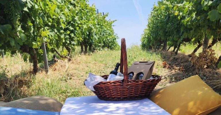 Monferrato: Garetto Wine Estate Tour and Picnic Private - A Deep Dive into the Garetto Wine Estate Tour and Picnic