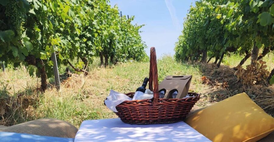 Monferrato: Garetto Wine Estate Tour and Picnic Private - A Deep Dive into the Garetto Wine Estate Tour and Picnic