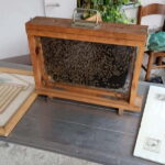 Monferrato: Honey and Mead Tasting Experience - Final Thoughts