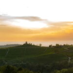 Monforte d'Alba: Picnic & Big Benches - The Vintage Picnic Experience