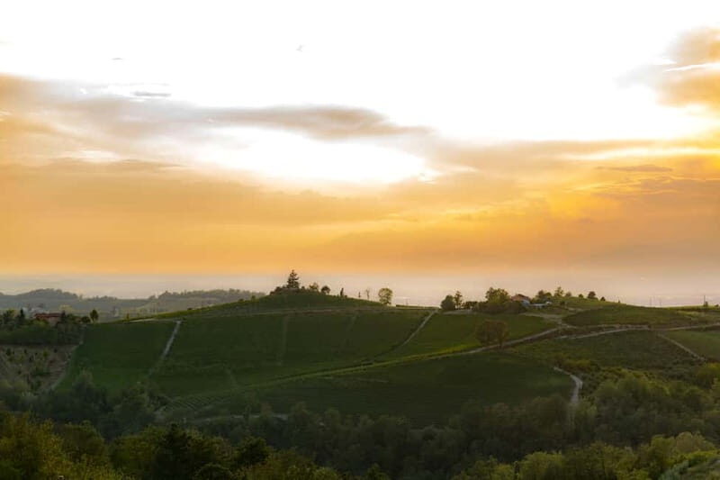Monforte d'Alba: Picnic & Big Benches - The Vintage Picnic Experience
