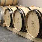 Monforte d'Alba: Wine Tasting, Cellar Visit, and Vineyard Tour - The Practicalities: What You Need to Know
